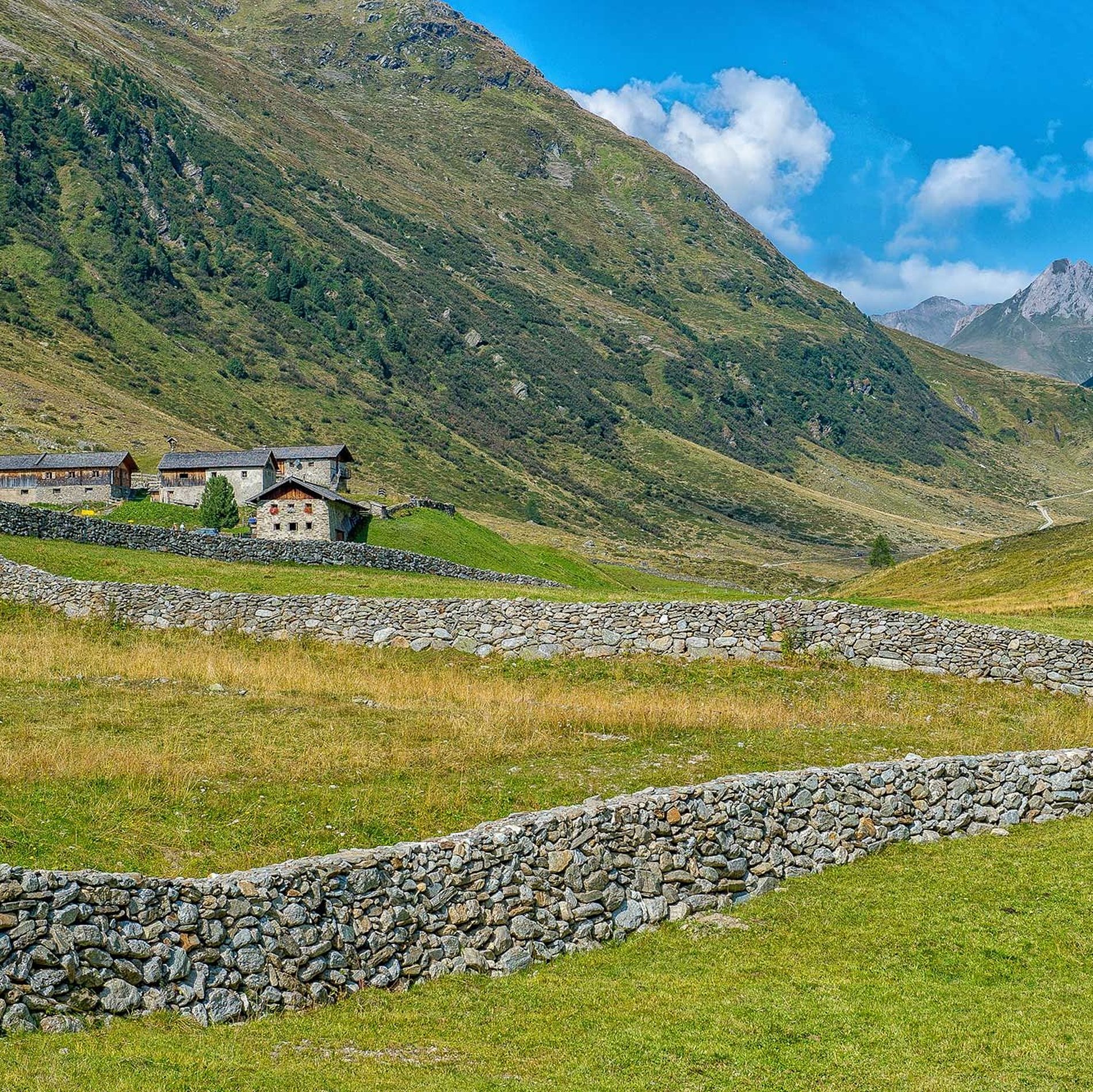 Jagdhausalm in the Defereggen valley, East Tyrol
