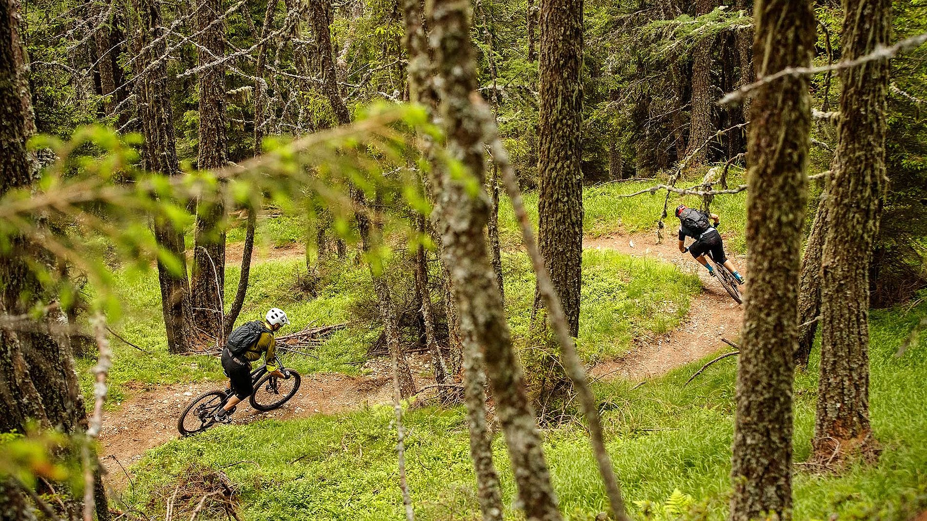 Mountainbike-Trails in Kals, Osttirol
