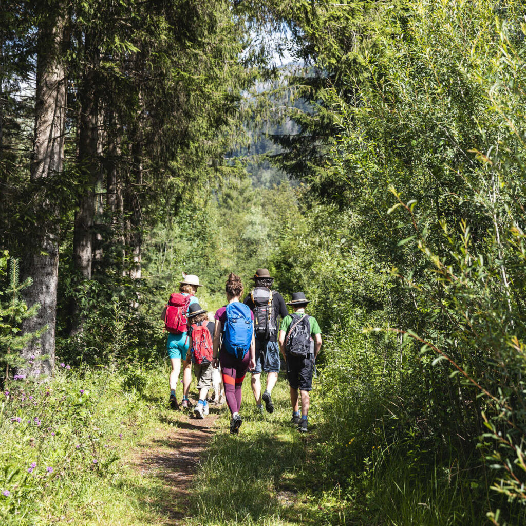Iseltrail Etappe 2 bei St. Johann im Walde, Osttirol