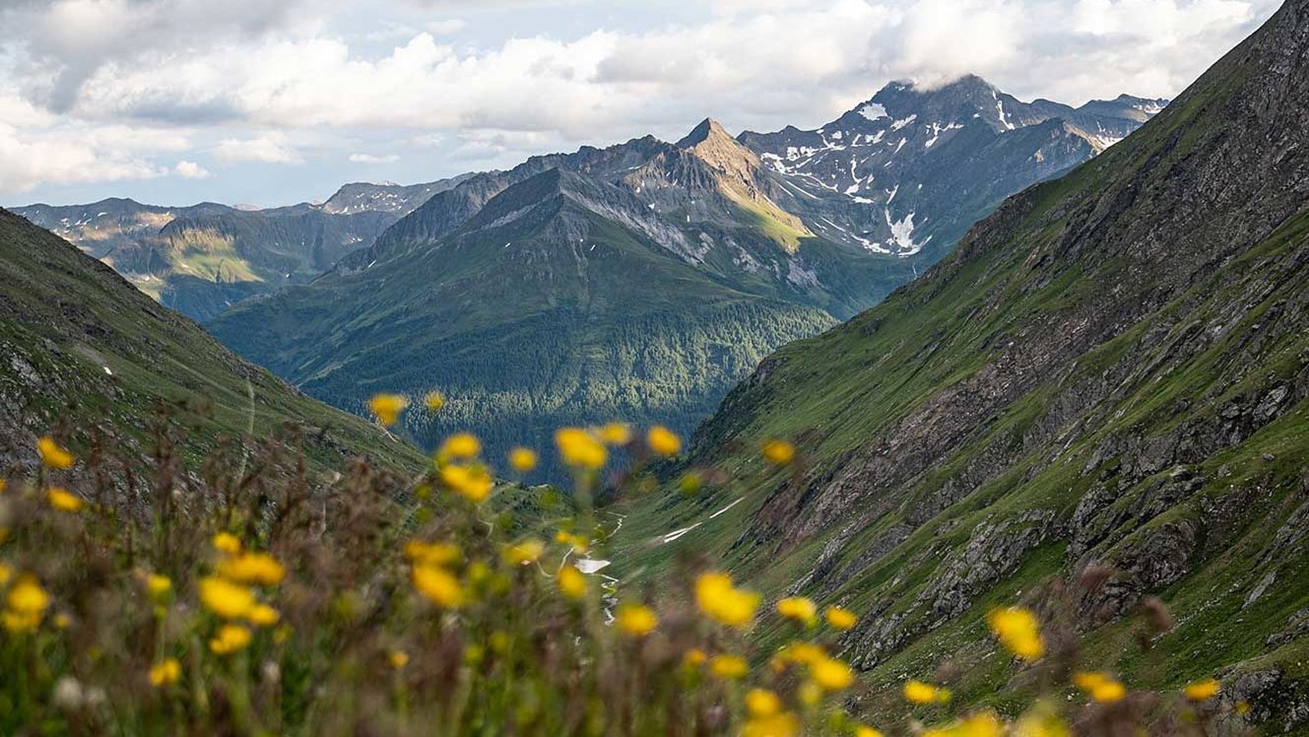 Nationalpark Hohe Tauern in Osttirol