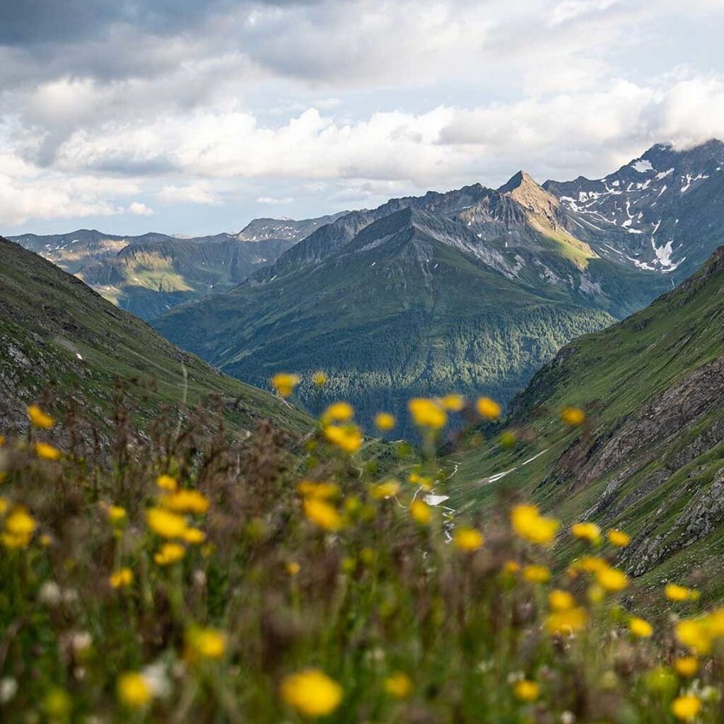 Nationalpark Hohe Tauern in Osttirol