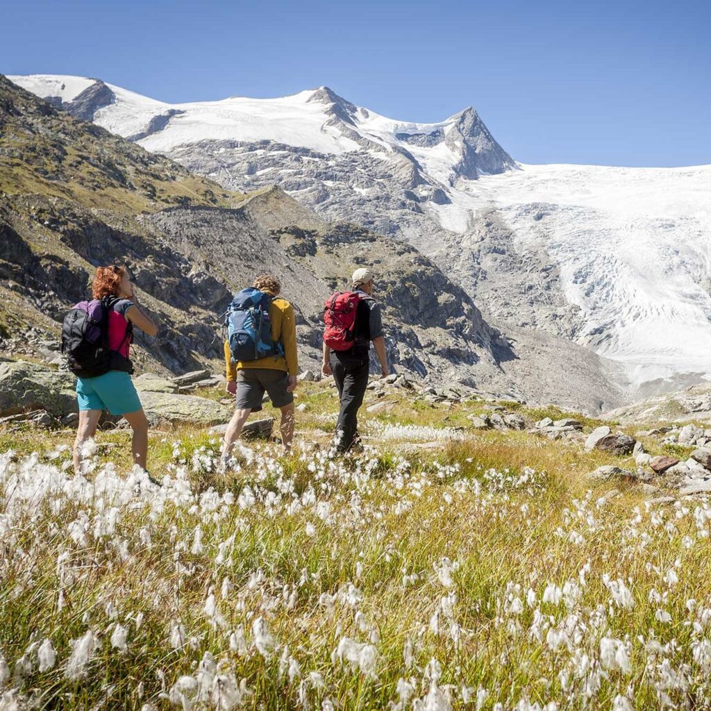 Gletscherlehrweg Innergschlöß, Matrei in Osttirol