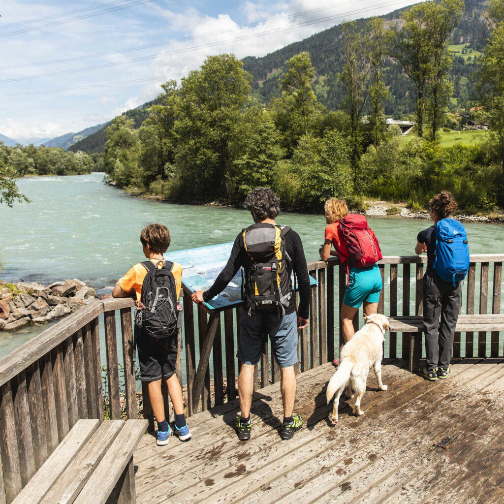 Iseltrail Etappe 1 bei Ainet, Osttirol