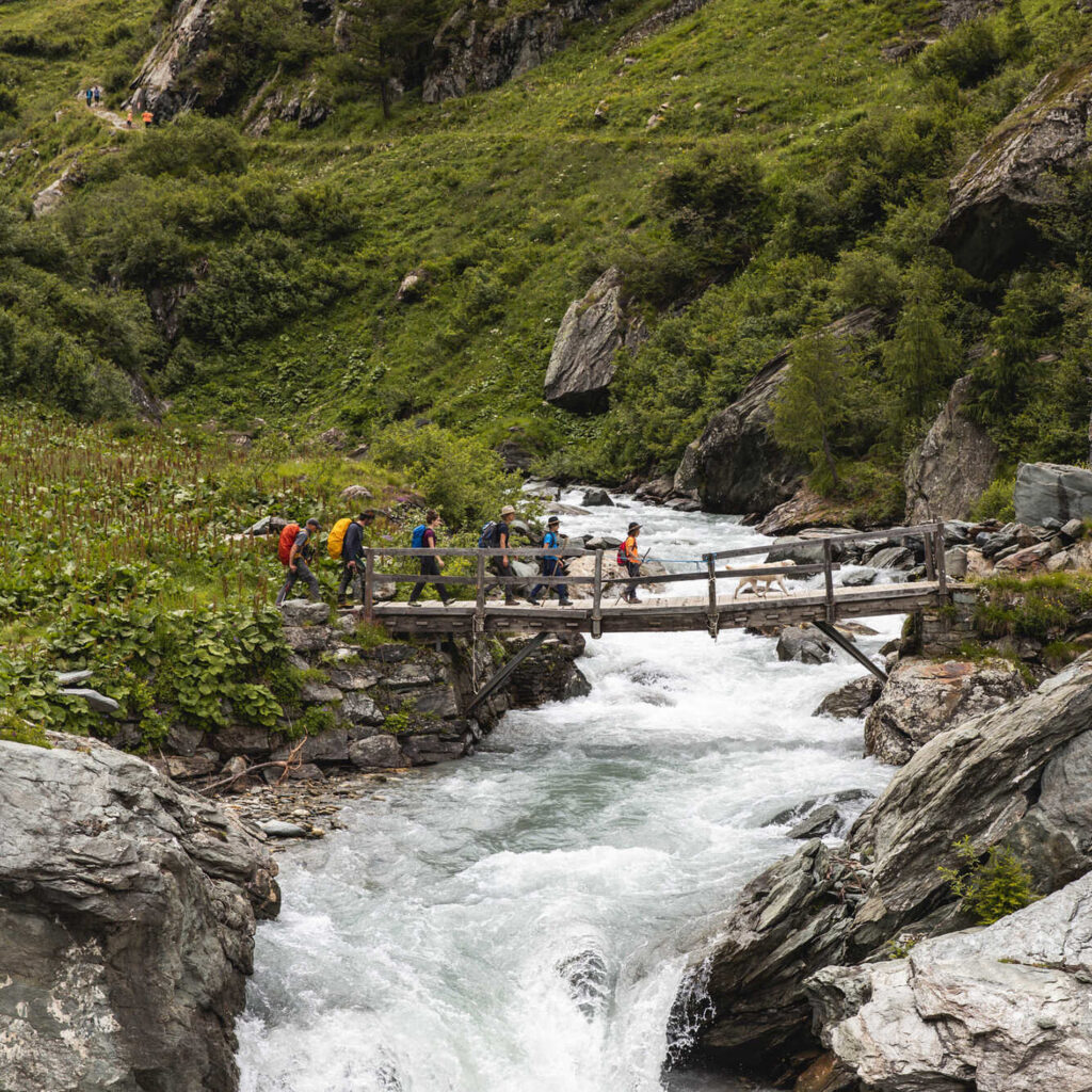 Nationalpark Hohe Tauern in Osttirol