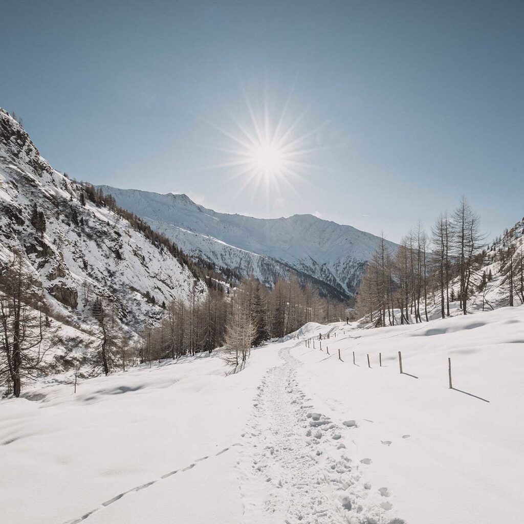 Winterurlaub in Virgen, Osttirol