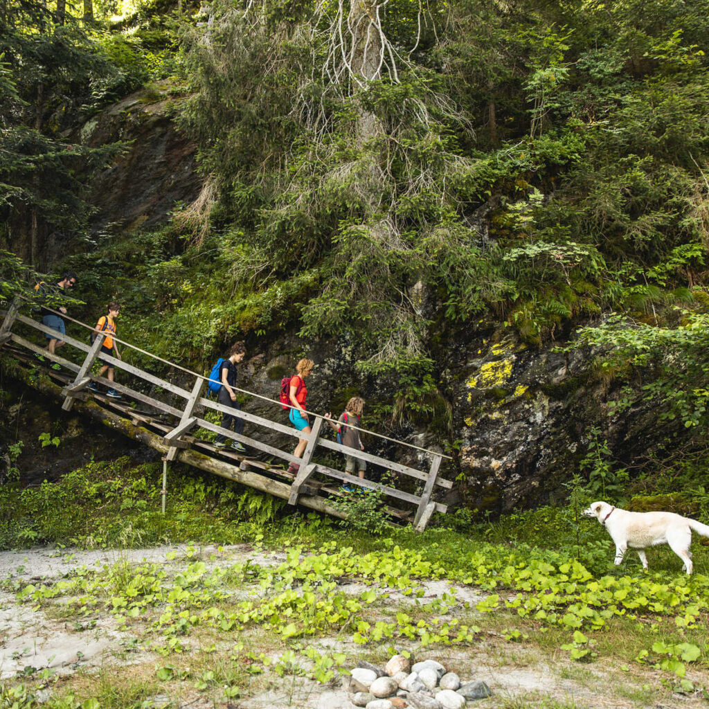 Iseltrail Etappe 1 bei Ainet, Osttirol